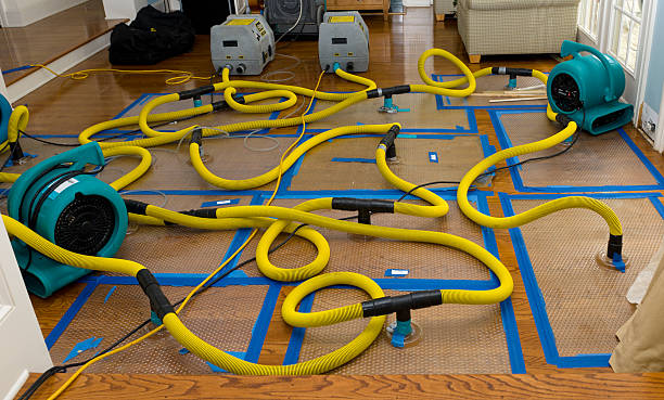 Professional Crawl Space Water Removal technician working in Winfield, KS